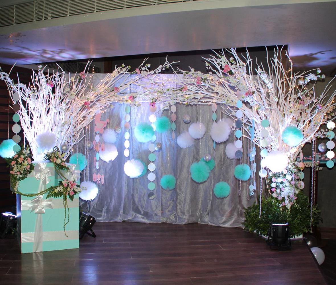Baby Shower Party